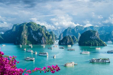 Vietnam V.